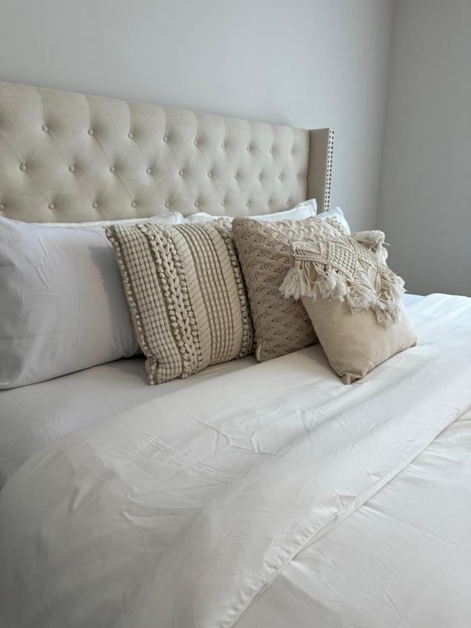 The Stay Lounge Ottawa Eksteriør billede